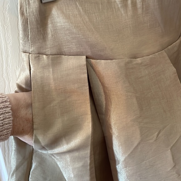 Jasmine - Gold Pleated Skirt with Striped Sheer Panel at Hem - Size Small - Picture 3 of 9